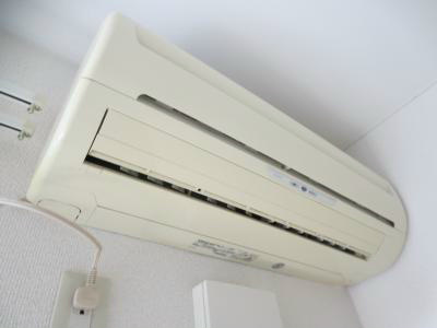 ＣＯＲＡＬ　ＭＩＺＵＥ その他4