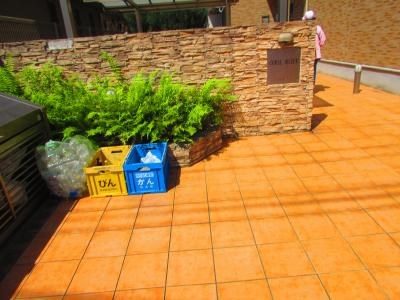 ＣＯＲＡＬ　ＭＩＺＵＥ その他7