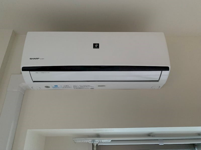 ＡＺＡＬＥＡ　ＧＡＲＤＥＮ その他4