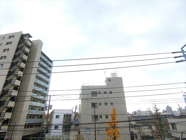 ＡＺＡＬＥＡ　ＧＡＲＤＥＮ その他5