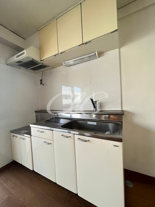 ニューサカエコーポ  キッチン