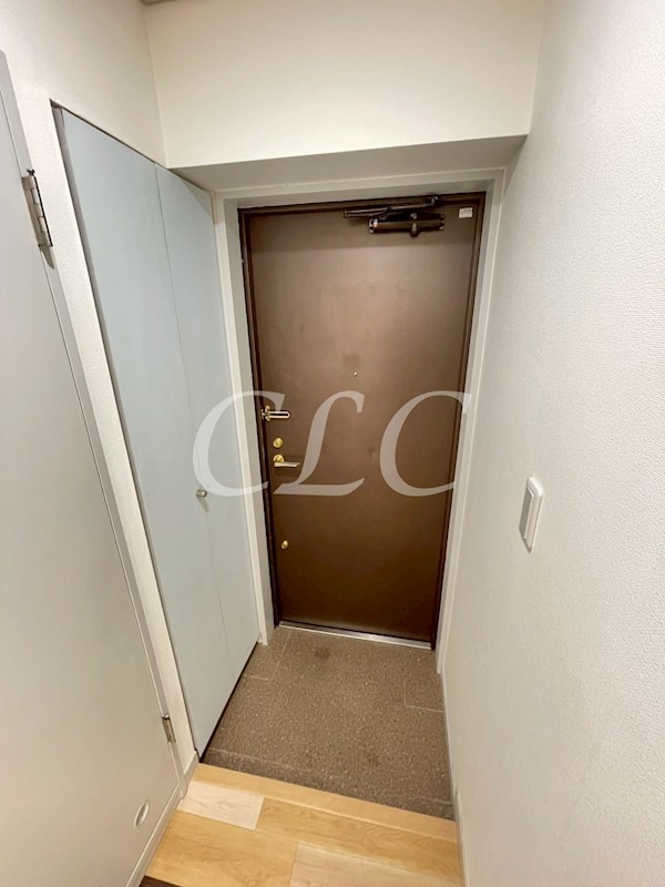 カーサケイワイNo2 玄関