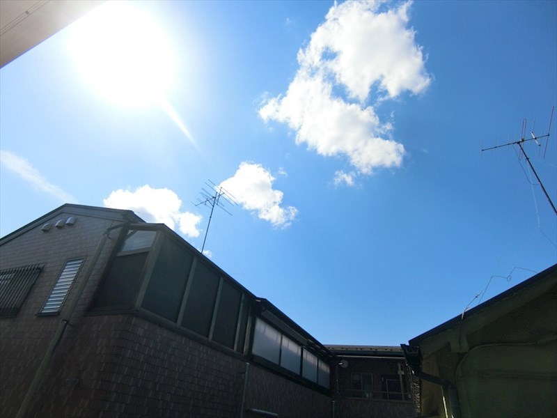 ソフィアハイツ  その他5