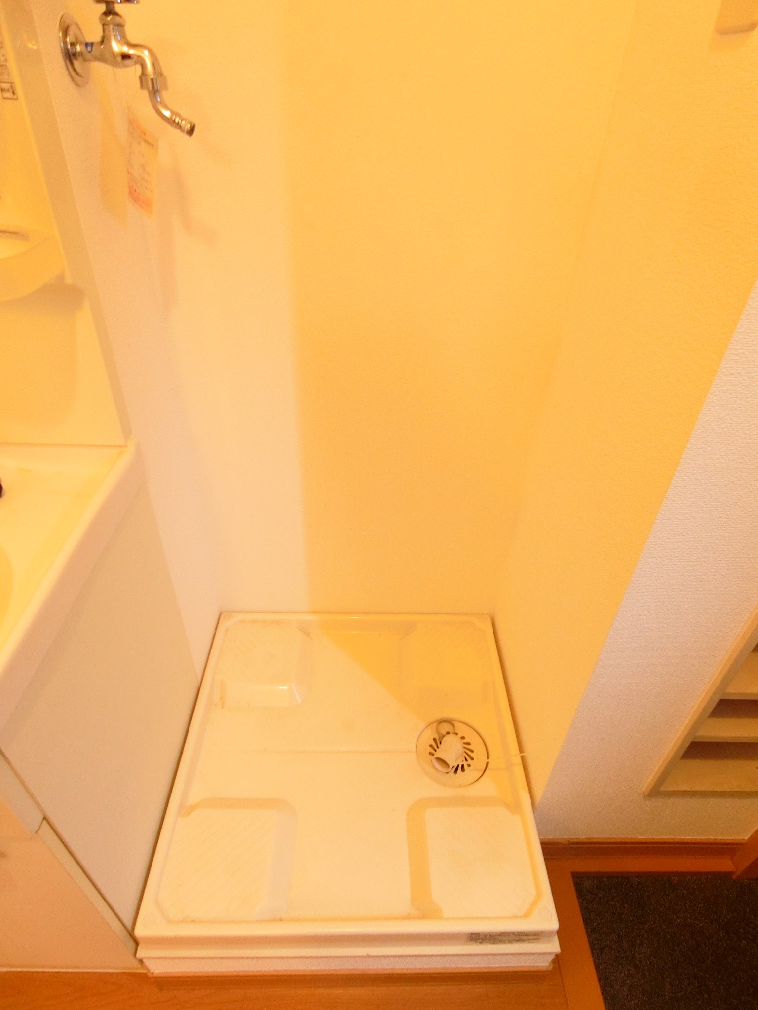 レグナムⅡ その他4