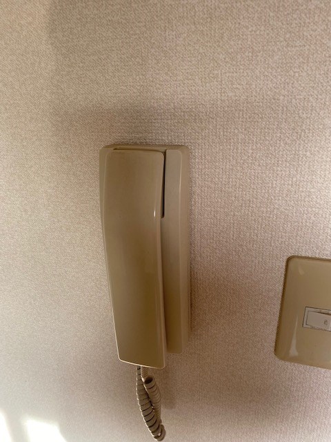 リラ・ピラミゼ その他5