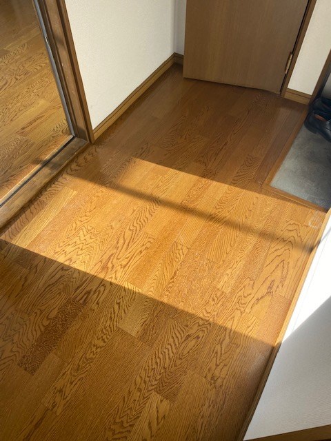 リラ・ピラミゼ その他7