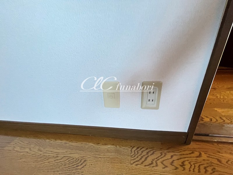 リラ・ピラミゼ その他9