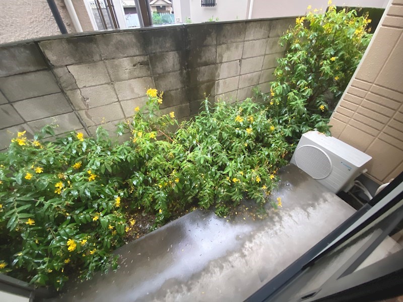 メゾン・ド・ボワ  ベランダ