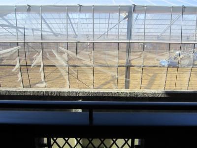 グリーンテラス・イースト その他10