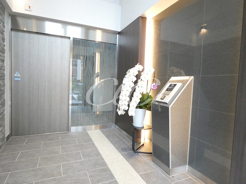 ノルデランテ篠崎 その他9