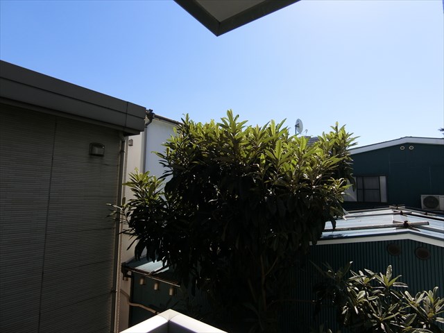 マインハイムⅡ その他9