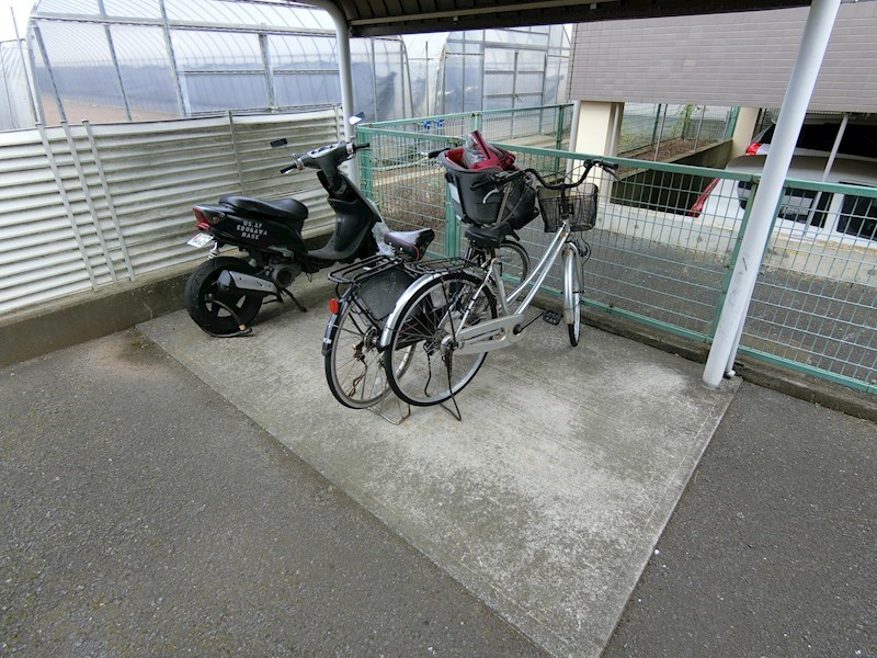 フレグランスニュースワ その他3