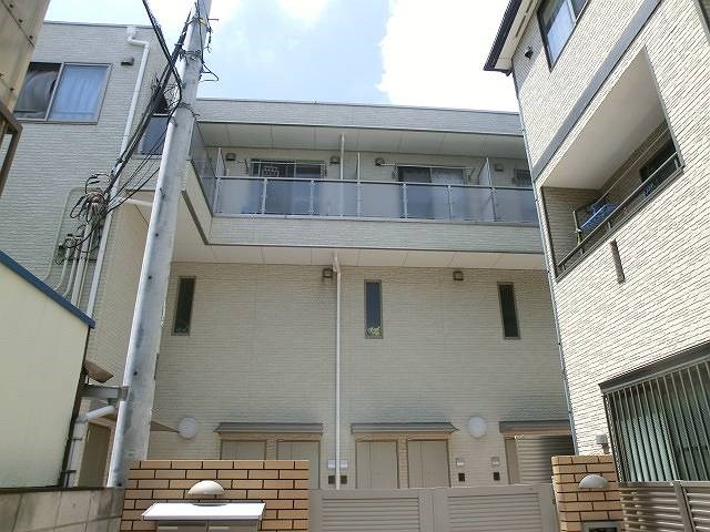 court pinetail  外観