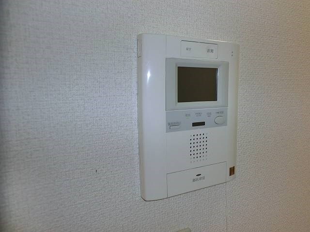 court pinetail  その他2