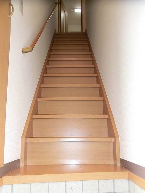 court pinetail  玄関