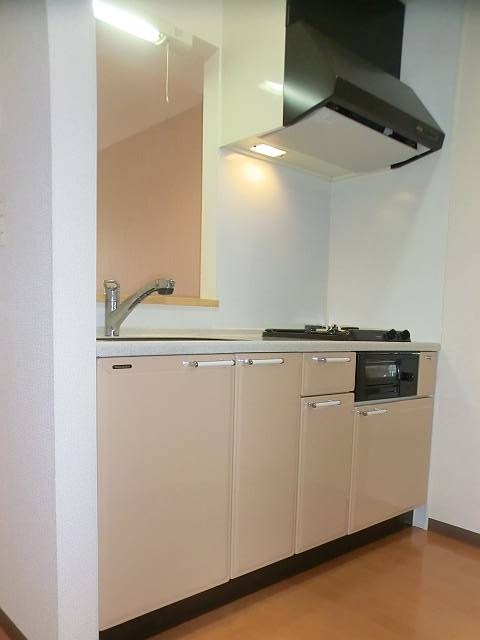 court pinetail  その他10