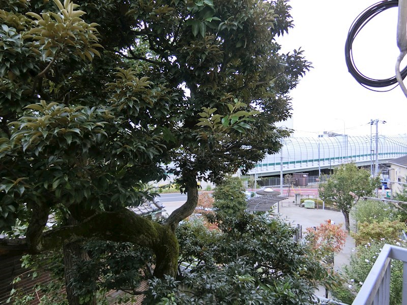 初平マンション その他5