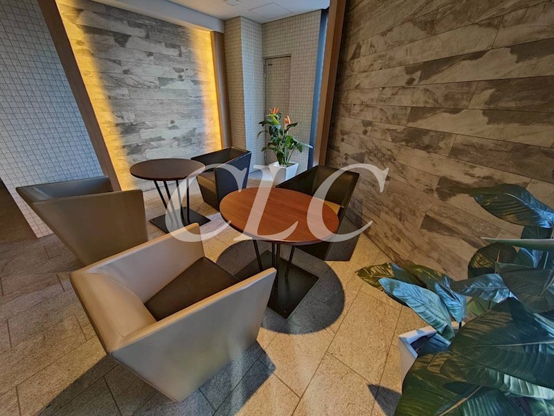 ライオンズ東京三ノ輪ミレス  その他1