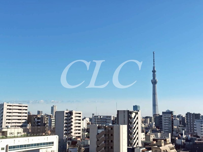 ライオンズ東京三ノ輪ミレス  その他4