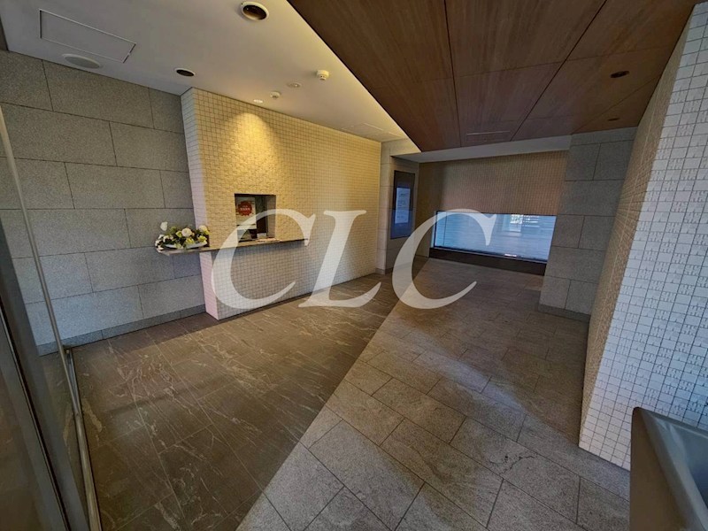 ライオンズ東京三ノ輪ミレス  その他17