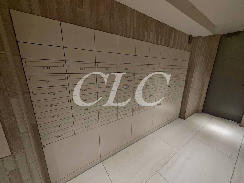 ザ・ライオンズミレス蔵前 その他6