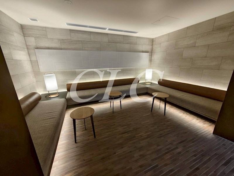 ザ・ライオンズミレス蔵前 その他12