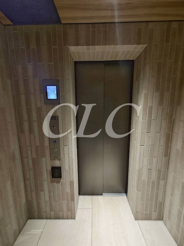 ザ・ライオンズミレス蔵前 その他15