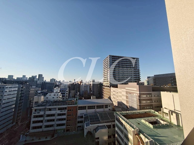 ザ・ライオンズミレス蔵前 その他8