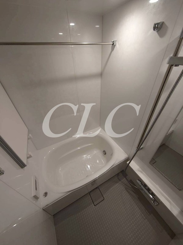 ザ・ライオンズミレス蔵前 風呂画像