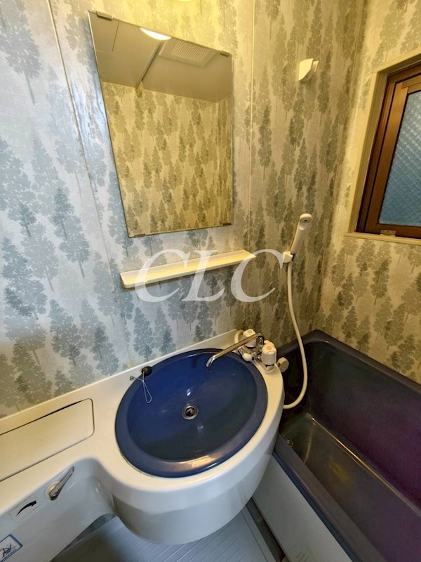 アンエコーハイム その他2