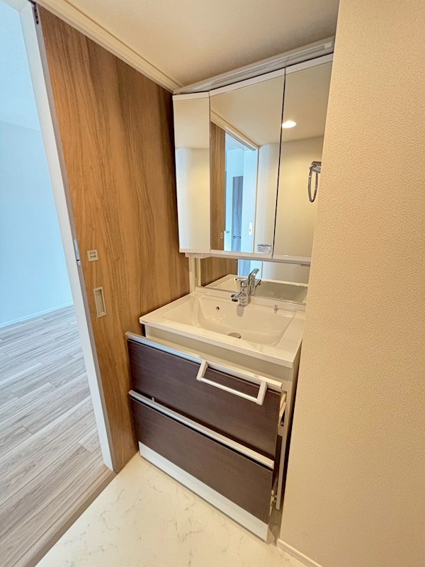 レガリア その他1