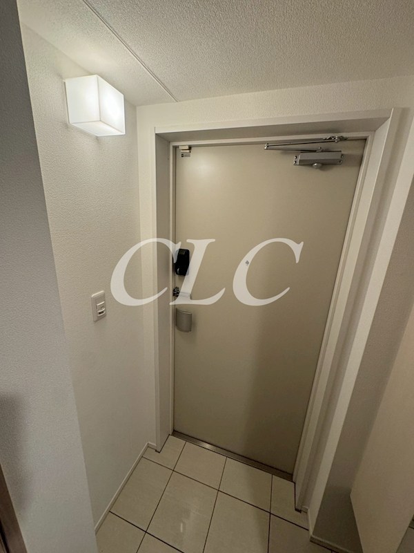 ラヴィータ東上野 玄関