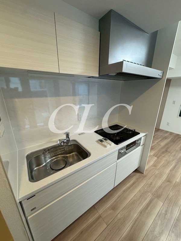 ラヴィータ東上野 キッチン