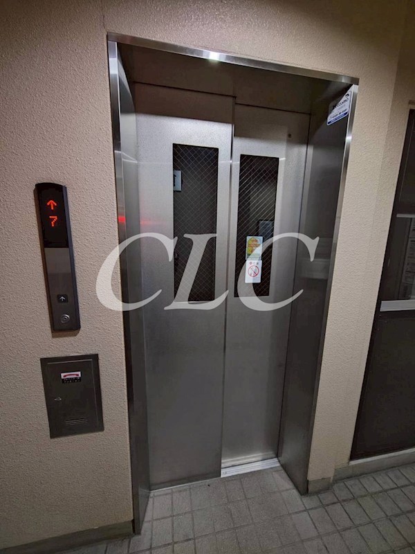 パールピアス その他4