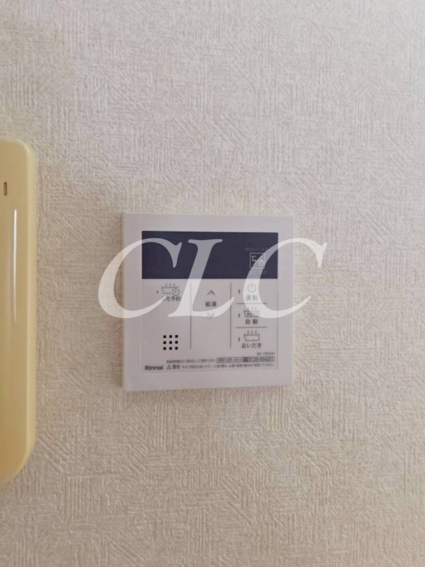 パールピアス その他5