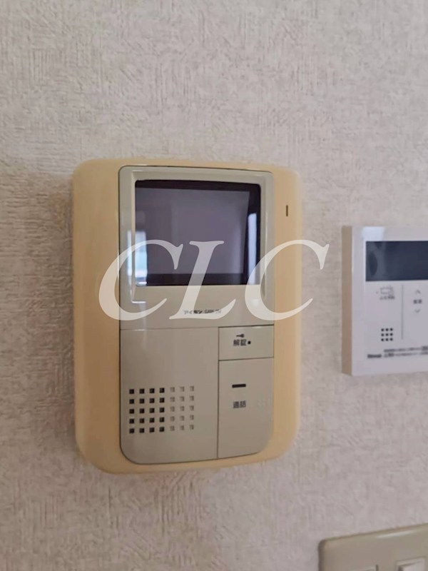 パールピアス その他6