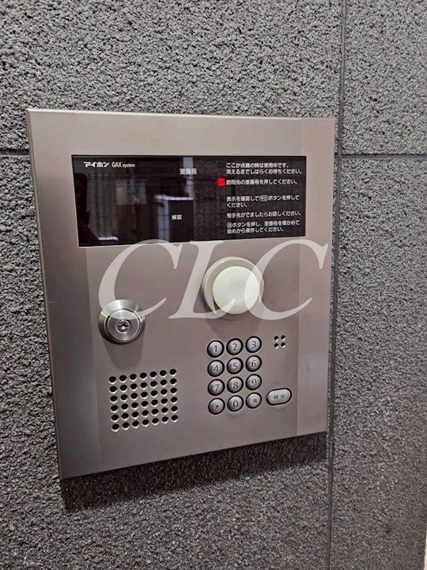 パールピアス その他11