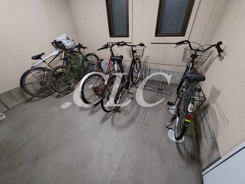 パールピアス その他12