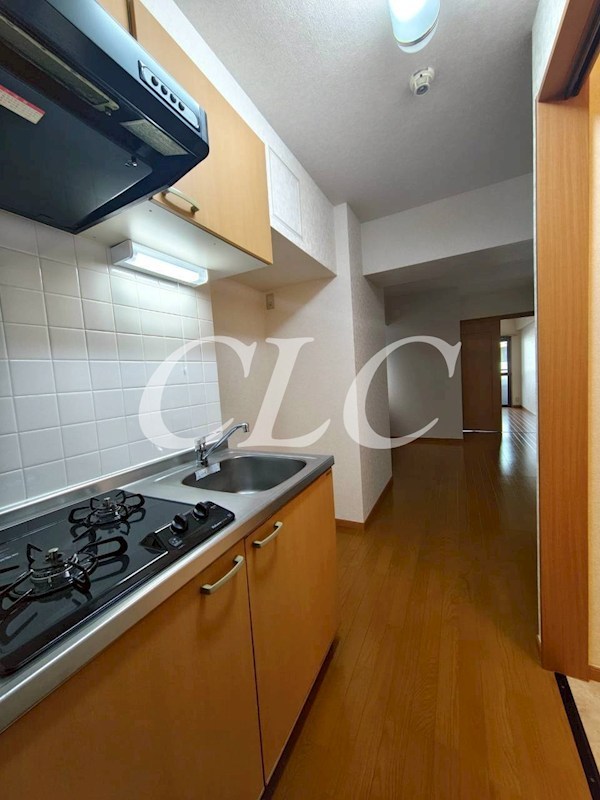 パールピアス その他14