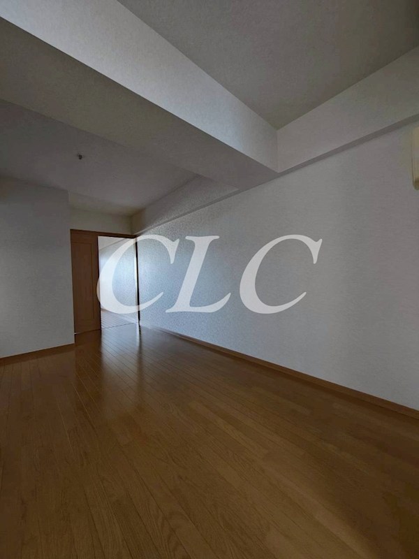 パールピアス その他15