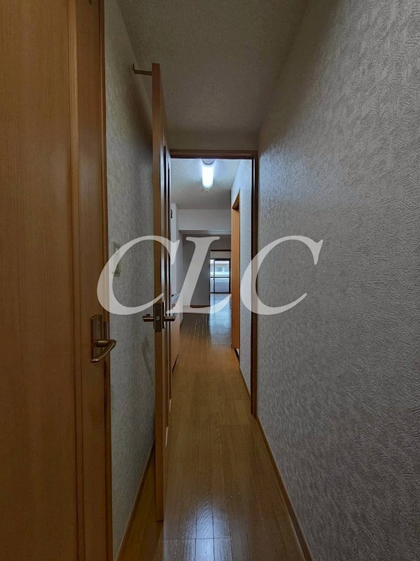 パールピアス その他17