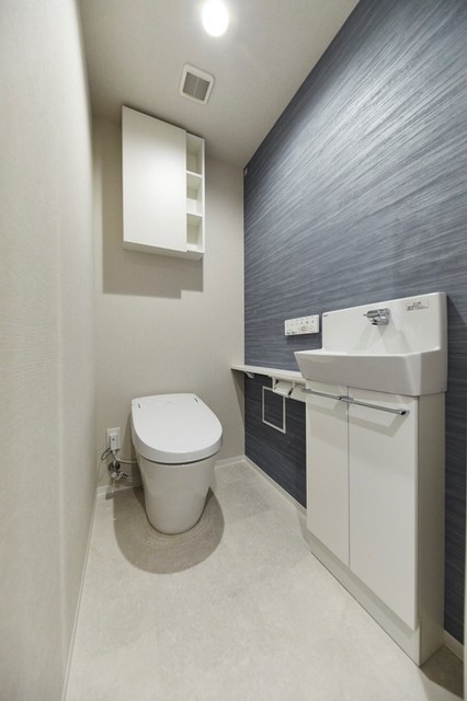 ロイジェント銀座 その他2