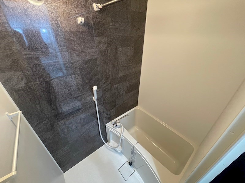 レピュア住吉レジデンス  風呂画像