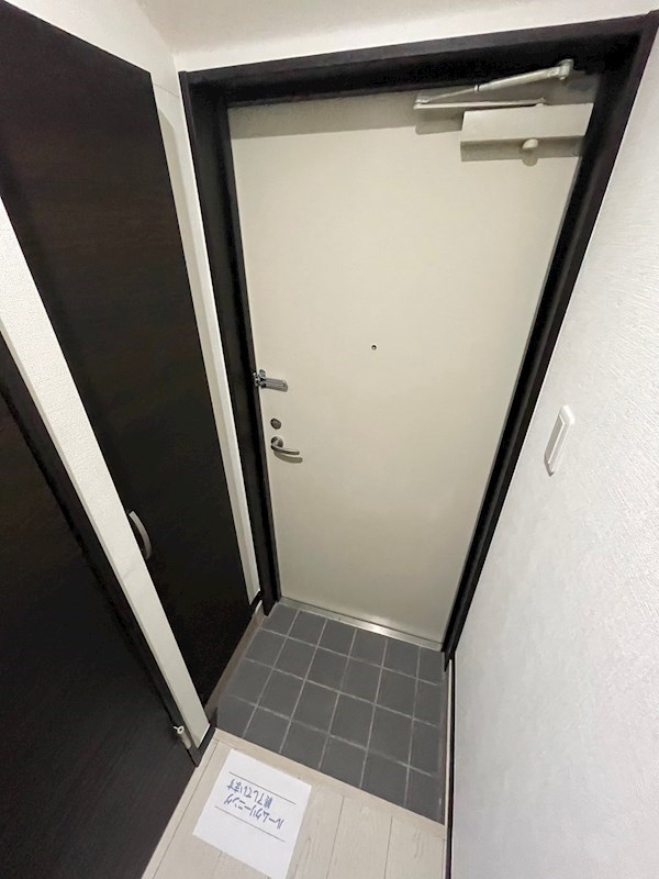 レピュア住吉レジデンス  玄関