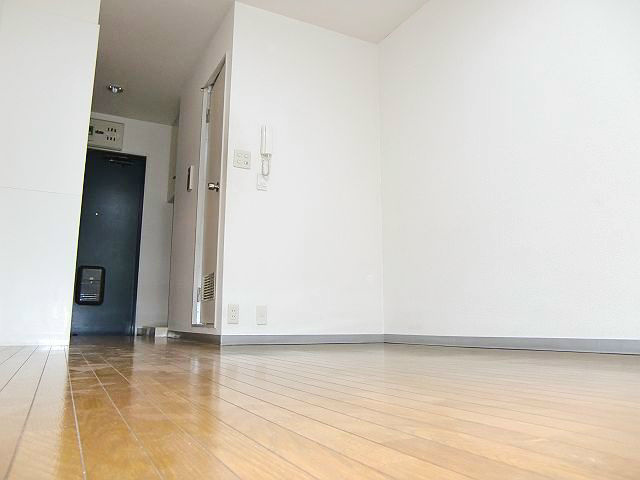 ノーブルイズミ  その他2