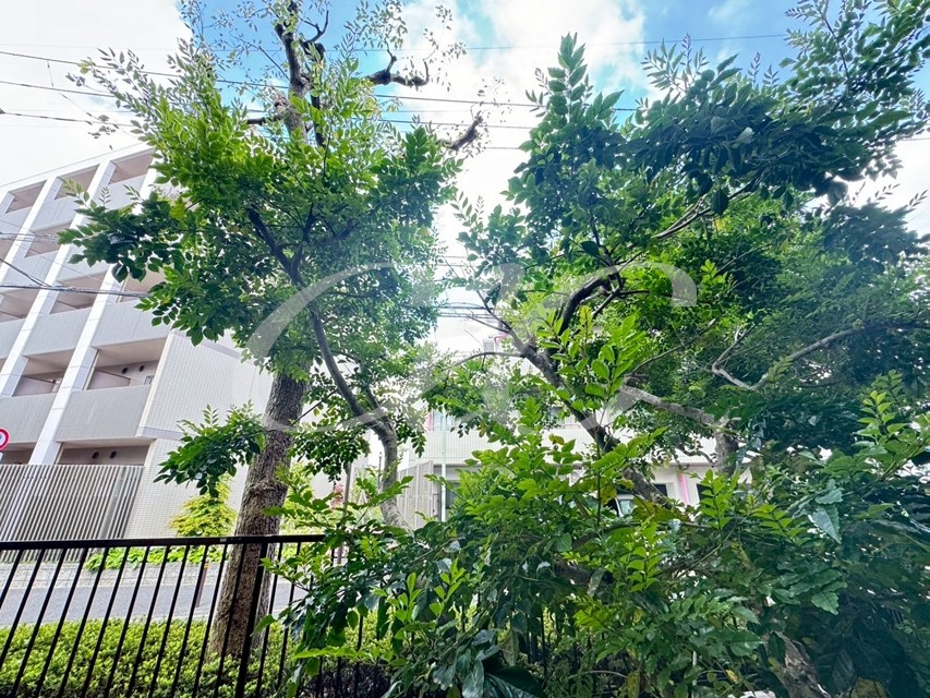 リムジェールピエス その他7