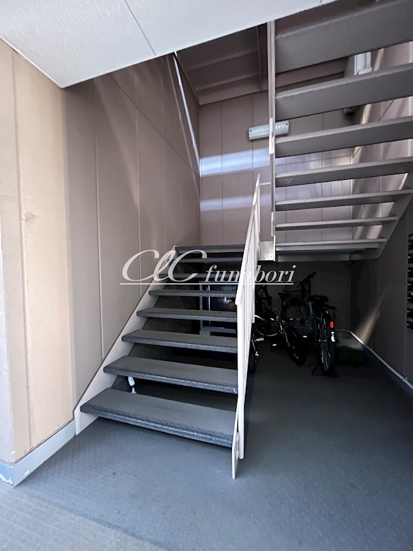 アンプルール フェール リリエンハイムⅡ  その他13