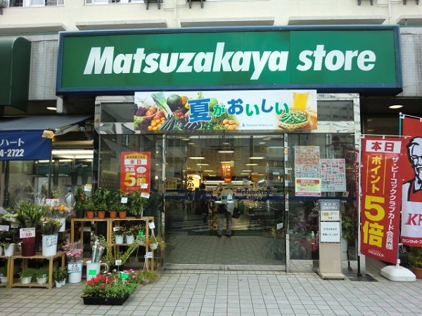 ヴィラ西新井 周辺画像9