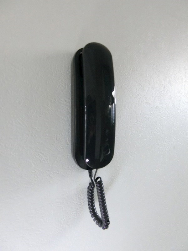 ロゼ６ その他5