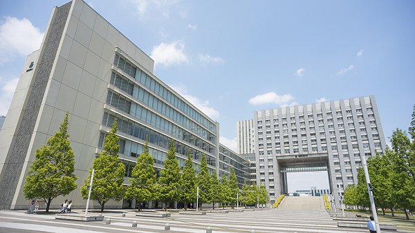 エム・フラワー  周辺画像1